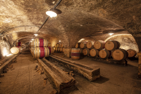 Château des Jacques cellar