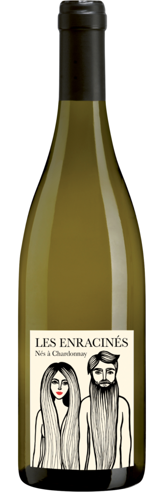 Les Enracinés Vin Sans Soufre Mâcon-Chardonnay 2020 6x75cl bottle image
