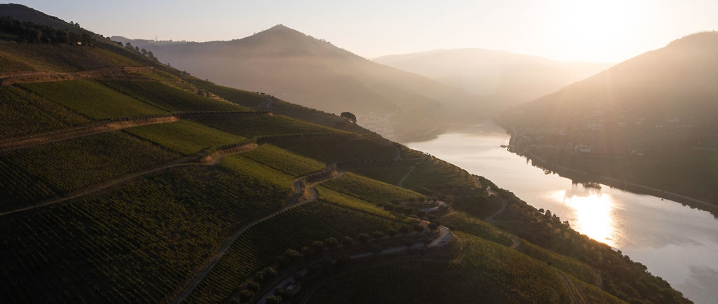 Quinta dos Murças on the Douro in the early morning sun