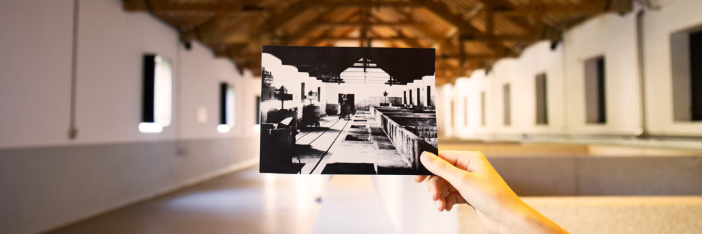 Quinta dos Murças - photo of the old winery