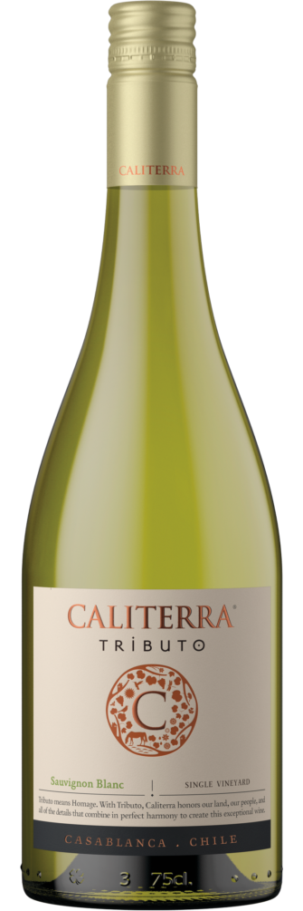Tributo Gran Reserva Sauvignon Blanc 2022 6x75cl bottle image