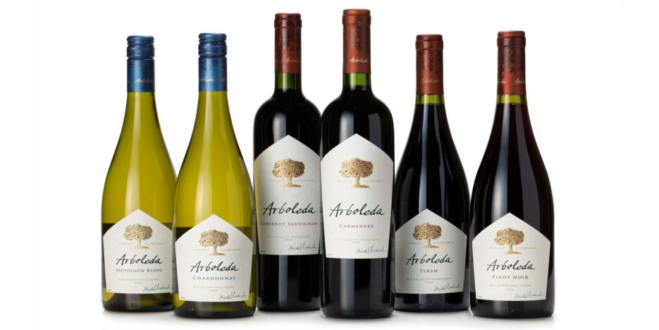 A row of Arboleda bottles on a white background. Two white wines and four red wines.