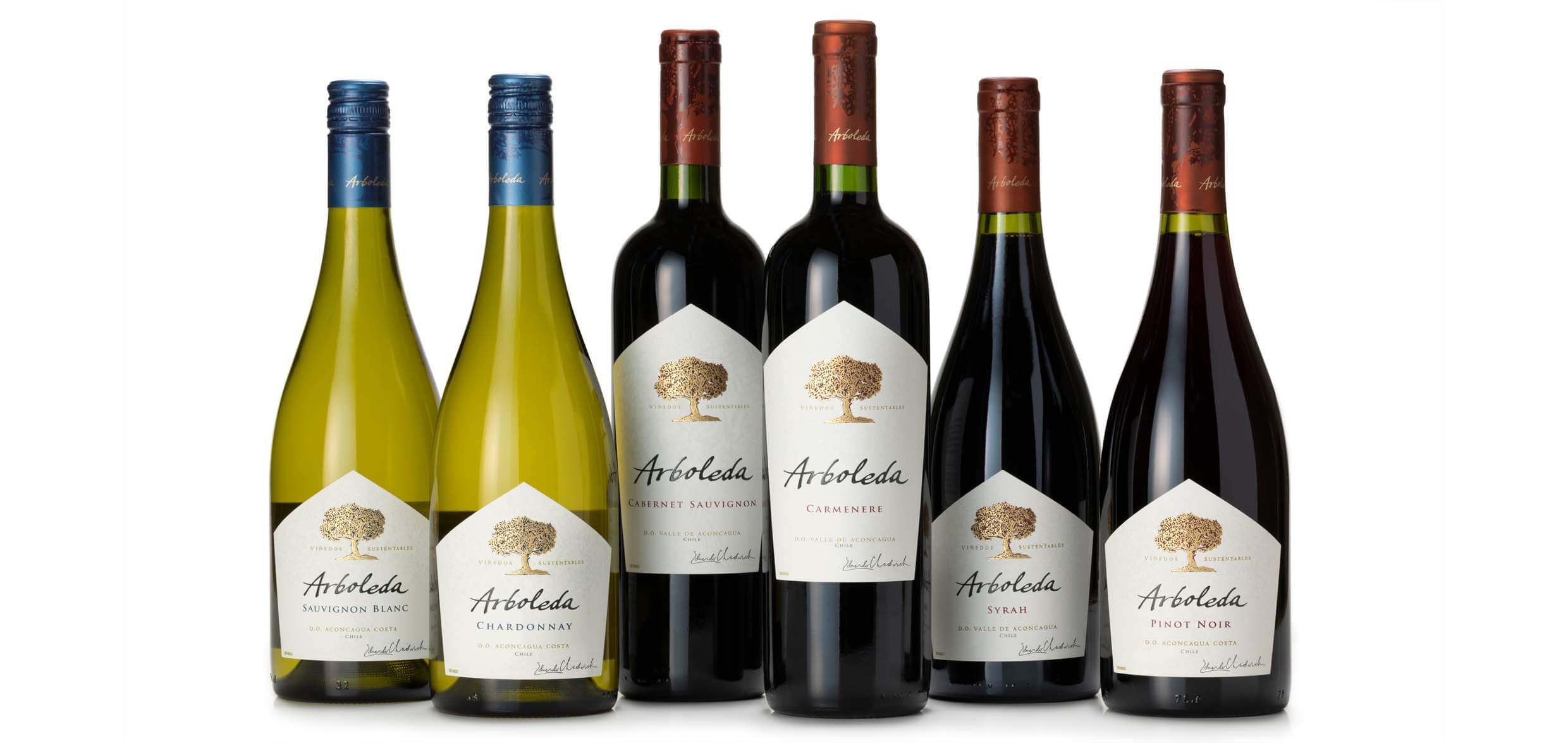 A row of Arboleda bottles on a white background. Two white wines and four red wines.
