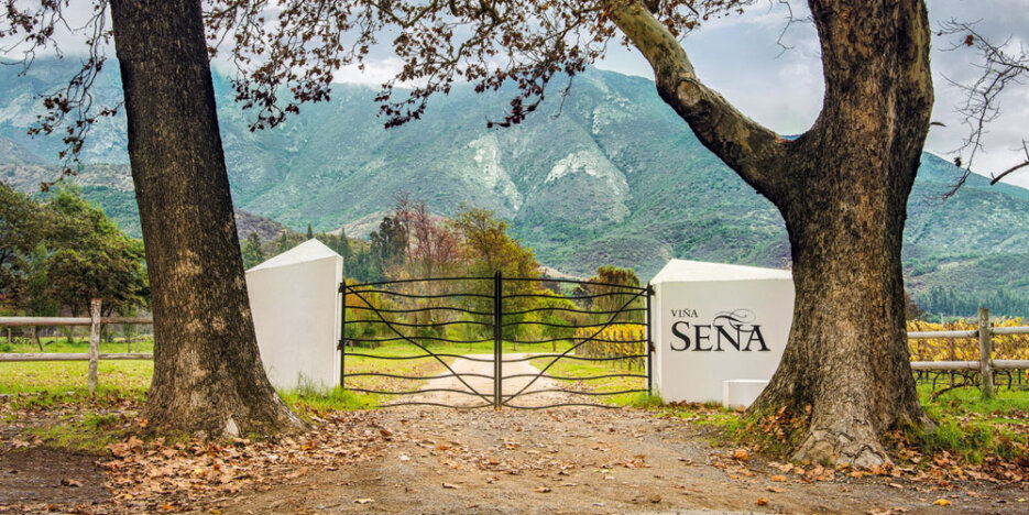 Angular white stone gate posts flank a black metal pair of gates with wavy metal bars. In front of each gate post stands a sturdy tree trunk, and behind the gate and fence is a vineyard, with trees behind and low mountains in the distance