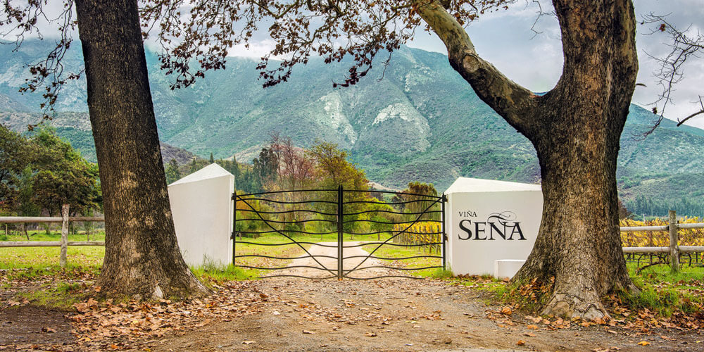 Angular white stone gate posts flank a black metal pair of gates with wavy metal bars. In front of each gate post stands a sturdy tree trunk, and behind the gate and fence is a vineyard, with trees behind and low mountains in the distance