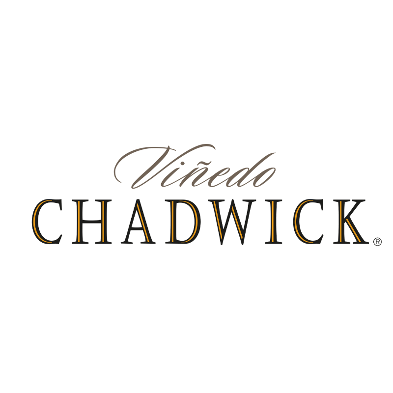 Viñedo Chadwick logo