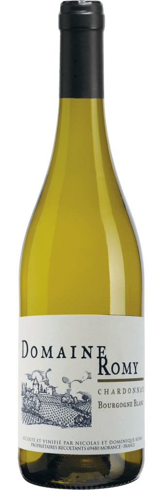 Bourgogne Chardonnay ‘Clos de la Chapelle’  2021 6x75cl bottle image