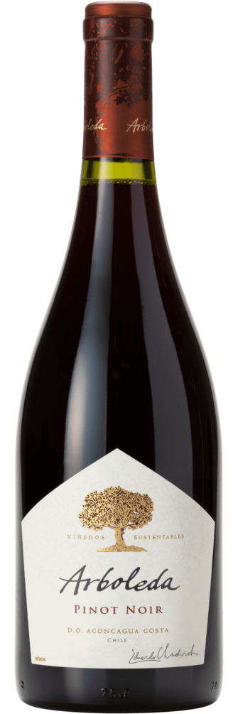 Pinot Noir 2020 bottle image
