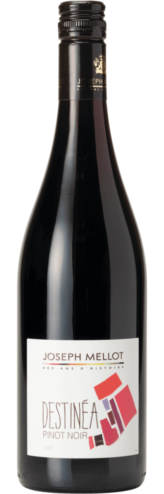 Destinéa Pinot Noir 2022 6x75cl bottle image