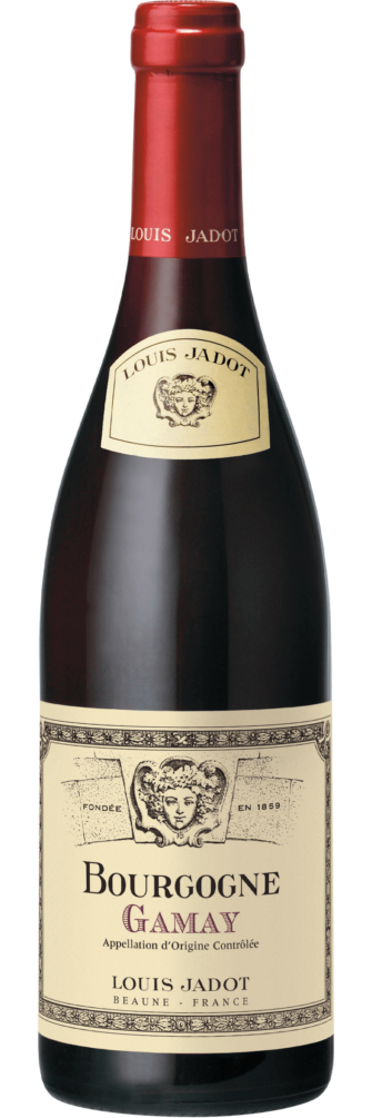 Bourgogne Gamay 2021 6x75cl bottle image