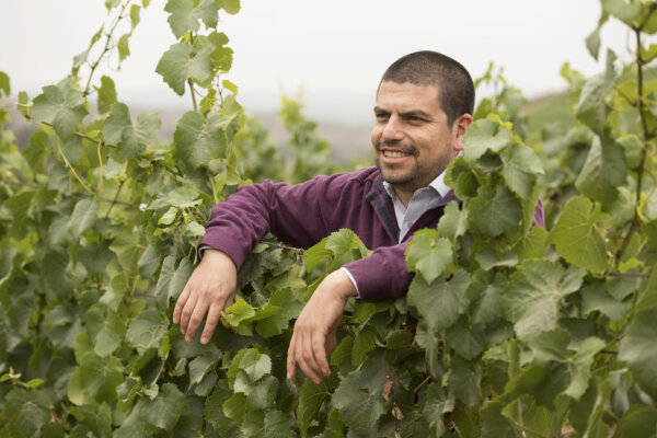 Carlos in a long sleeve plum red top, and short cropped dark hair, smiling while his arms are draped over the top of a row of green vine leaves