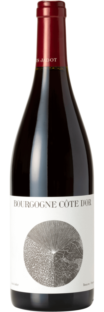Bourgogne Côte D’Or 2020 6x75cl bottle image