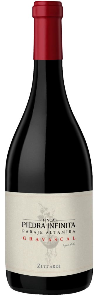 Finca Piedra Infinita Gravascal 2019 3x75cl bottle image