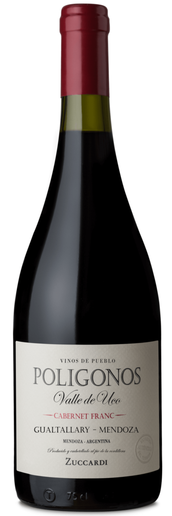 Polígonos Gualtallary Cabernet Franc 2022 6x75cl bottle image