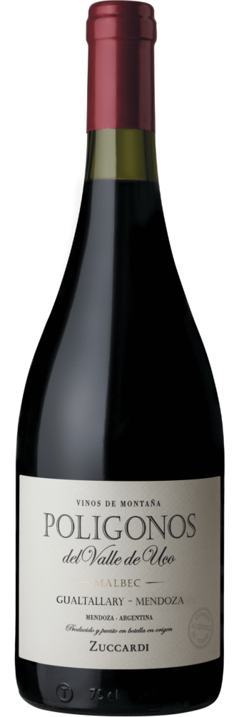Polígonos Gualtallary Malbec 2022 6x75cl bottle image