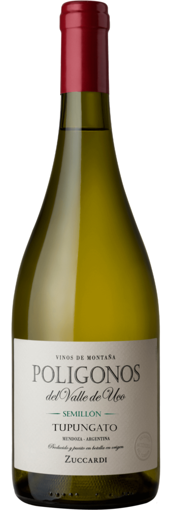 Polígonos Tupungato Semillon 2022 6x75cl bottle image