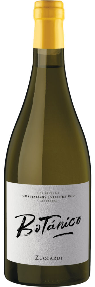 Botánico Gualtallary Chardonnay 2021 6x75cl bottle image