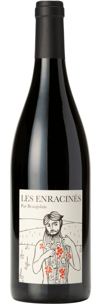 Les Enracinés Vin Sans Soufre Beaujolais-Villages 2023 6x75cl bottle image