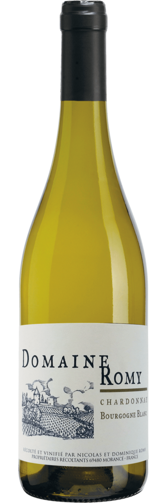 Bourgogne Chardonnay 'Clos de la Chapelle' 2021 6x75cl bottle image