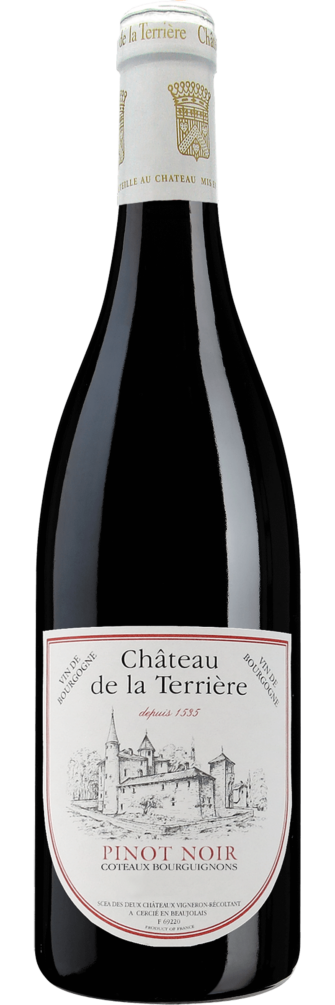 Bourgogne Pinot Noir Vieilles Vignes 2019 6x75cl bottle image