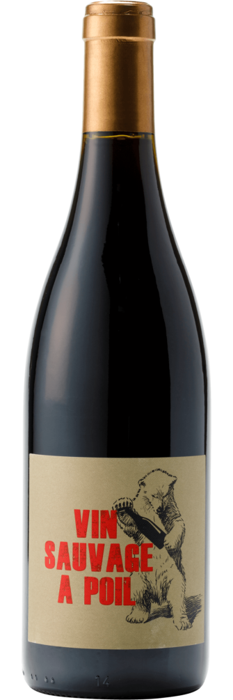 Sauvage à Poil Vin Sans Soufre, Régnié 2020 6x75cl bottle image