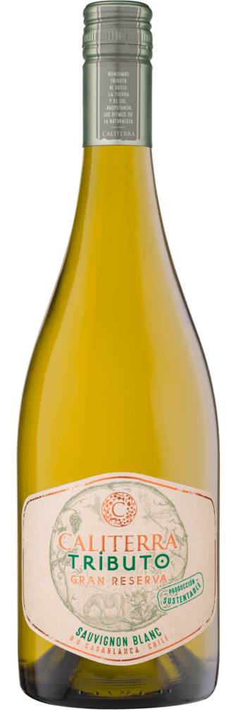 Tributo Gran Reserva Sauvignon Blanc 2023 6x75cl bottle image