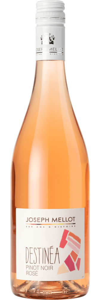 Destinéa Pinot Noir Rosé 2023 6x75cl bottle image