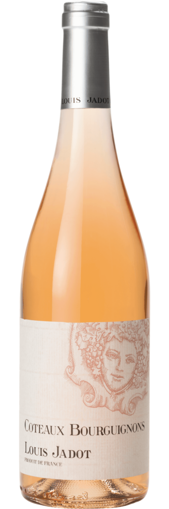Coteaux Bourguignons Rose 2021 6x75cl bottle image