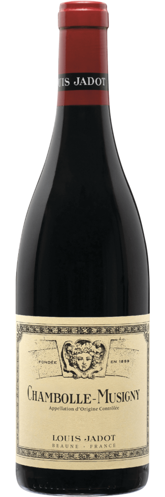 Chambolle-Musigny 2015 6x75cl bottle image