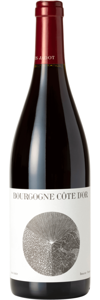 Bourgogne Côte D'Or 2021 6x75cl bottle image