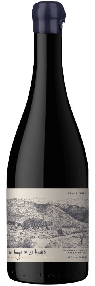 Un Lugar en Los Andes Pinot Noir 2018 3x75cl bottle image
