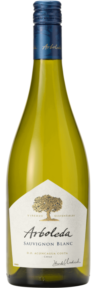 Sauvignon Blanc 2024 6x75cl bottle image