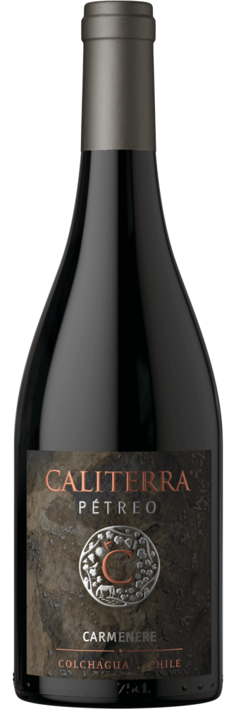 Pétreo Carmenere 2023 6x75cl bottle image