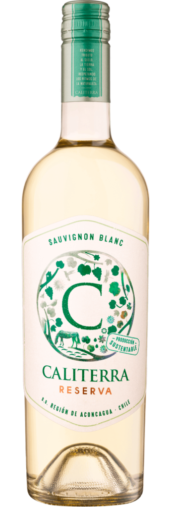 Sauvignon Blanc Reserva 2024 6x75cl bottle image