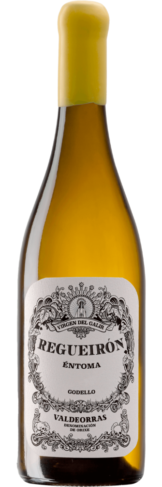 Regueirón Godello 2022 6x75cl bottle image