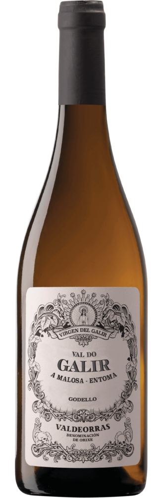 Val do Galir Godello 2024 6x75cl bottle image