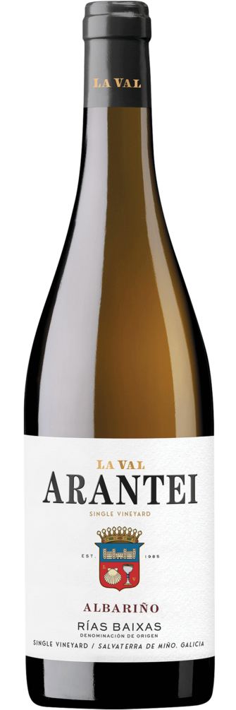 La Val Arantei Albariño 2023 6x75cl bottle image