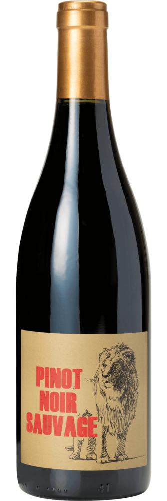 Sauvage Vin Sans Soufre Coteaux Bourguignons Pinot Noir 2022 6x75cl bottle image