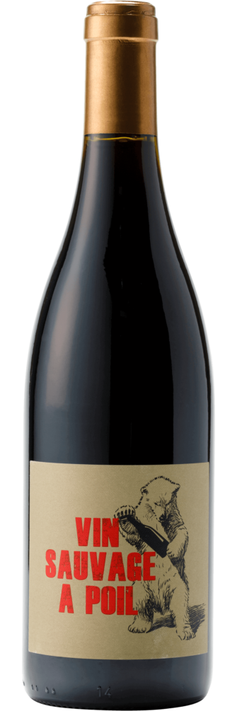 Sauvage à Poil Vin Sans Soufre, Régnié 2022 6x75cl bottle image
