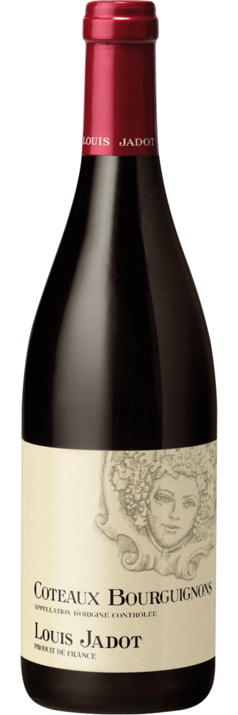 Coteaux Bourguignons Rouge 2023 6x75cl bottle image