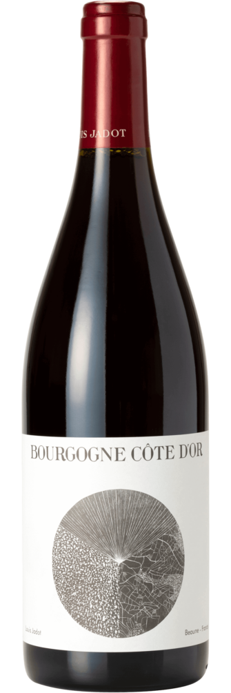 Bourgogne Côte D'Or 2022 6x75cl bottle image