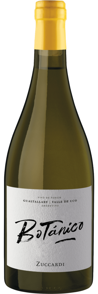 Botánico Gualtallary Chardonnay 2022 6x75cl bottle image
