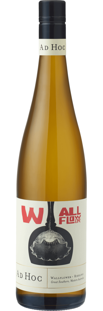 Ad Hoc Wallflower Riesling 2024 6x75cl bottle image