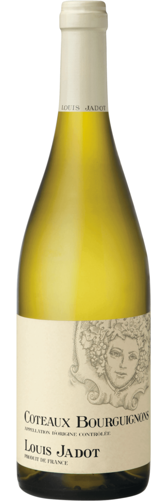 Coteaux Bourguignons Blanc 2024 6x75cl bottle image