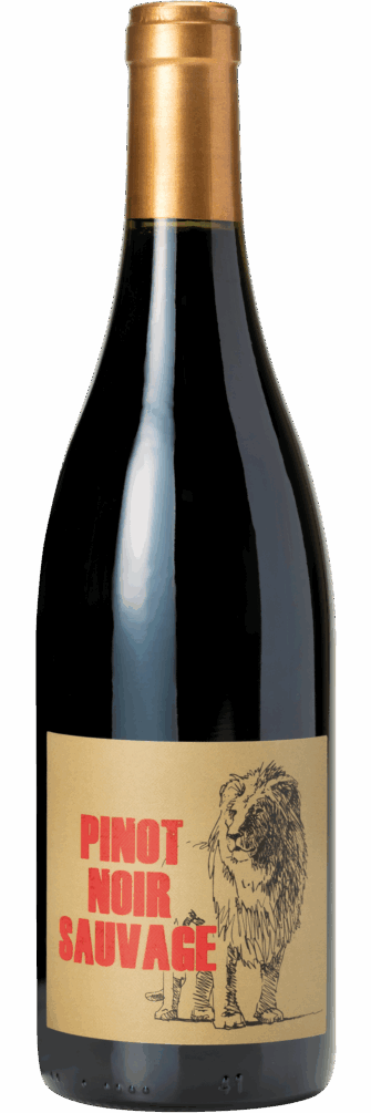 Sauvage Vin Sans Soufre Coteaux Bourguignons Pinot Noir 2019 6x75cl bottle image