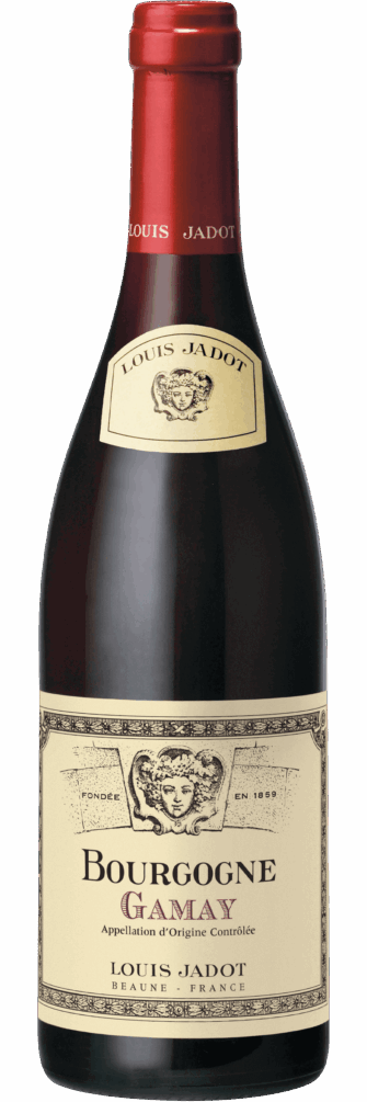 Bourgogne Gamay 2024 6x75cl bottle image