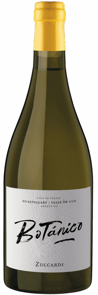 Botánico Gualtallary Chardonnay 2021 6x75cl bottle image