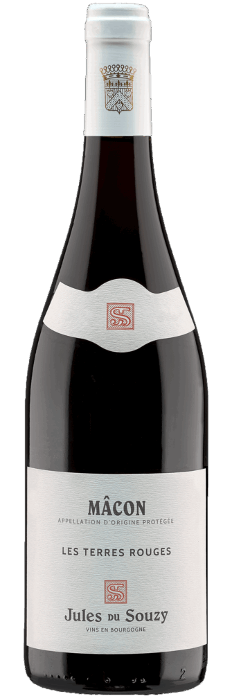 Mâcon Rouge 2020 6x75cl bottle image