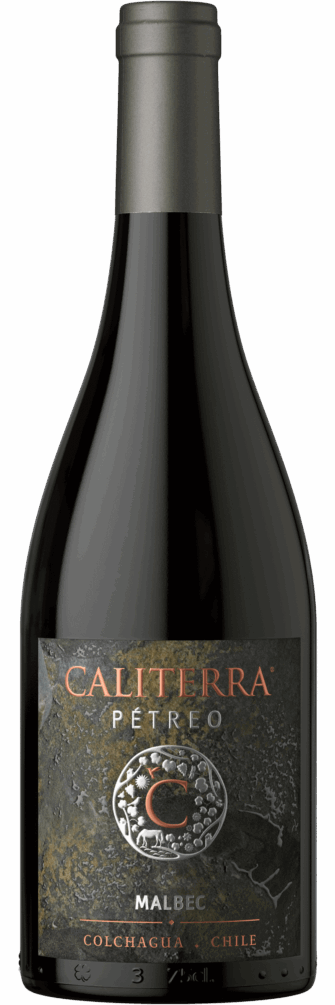 Pétreo Malbec 2020 6x75cl bottle image