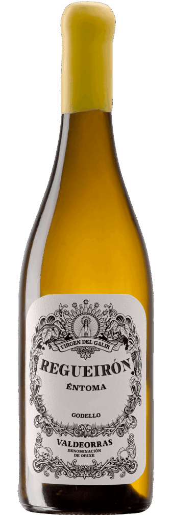 Regueirón Godello 2022 6x75cl bottle image